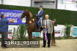 23R13_05021 thumbnail