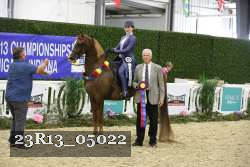 23R13_05022 thumbnail