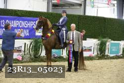 23R13_05023 thumbnail