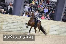 23R13_05024 thumbnail