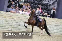 23R13_05025 thumbnail