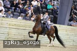 23R13_05026 thumbnail