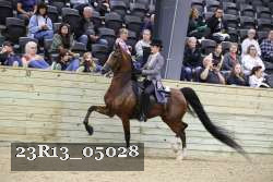 23R13_05028 thumbnail