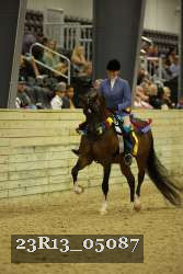 23R13_05087 thumbnail