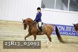 23R13_05093 thumbnail