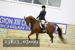 23R13_05099 thumbnail