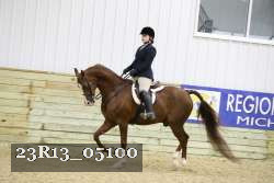 23R13_05100 thumbnail