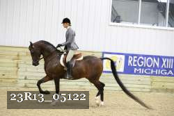 23R13_05122 thumbnail