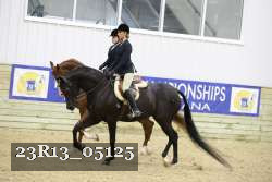 23R13_05125 thumbnail