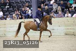 23R13_05126 thumbnail