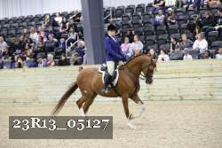 23R13_05127 thumbnail