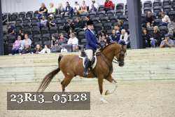 23R13_05128 thumbnail