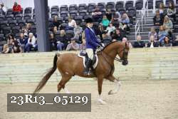 23R13_05129 thumbnail