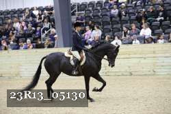 23R13_05130 thumbnail