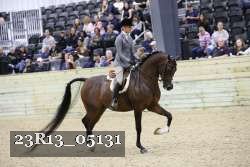 23R13_05131 thumbnail