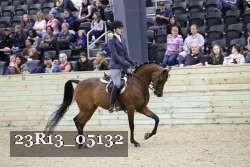 23R13_05132 thumbnail