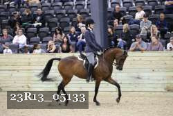 23R13_05133 thumbnail
