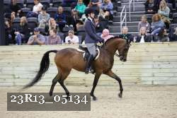 23R13_05134 thumbnail