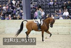 23R13_05135 thumbnail