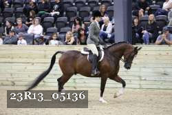 23R13_05136 thumbnail
