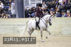 23R13_05137 thumbnail