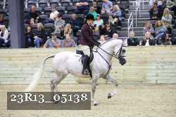 23R13_05138 thumbnail