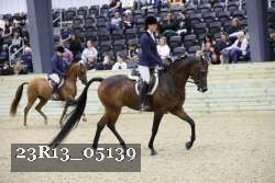 23R13_05139 thumbnail