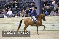 23R13_05140 thumbnail