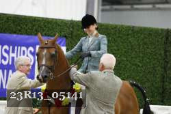 23R13_05141 thumbnail