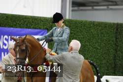 23R13_05144 thumbnail