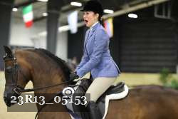 23R13_05153 thumbnail