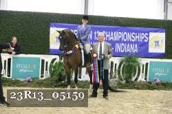 23R13_05159 thumbnail