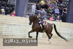 23R13_05160 thumbnail