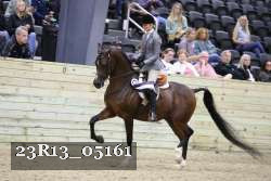 23R13_05161 thumbnail