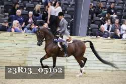 23R13_05162 thumbnail