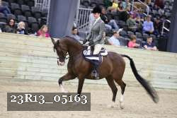 23R13_05163 thumbnail