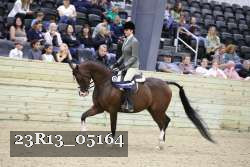 23R13_05164 thumbnail