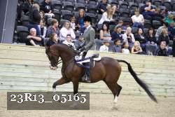 23R13_05165 thumbnail