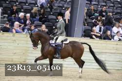 23R13_05166 thumbnail