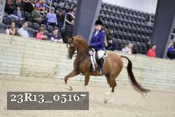 23R13_05167 thumbnail