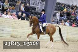23R13_05168 thumbnail