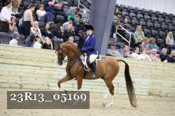 23R13_05169 thumbnail