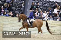 23R13_05170 thumbnail