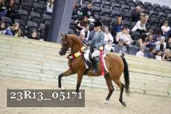 23R13_05171 thumbnail