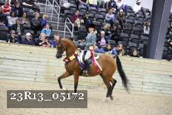 23R13_05172 thumbnail