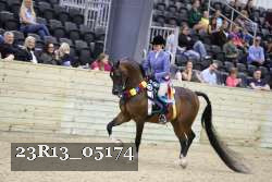 23R13_05174 thumbnail