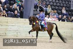 23R13_05175 thumbnail