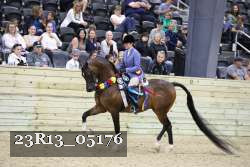 23R13_05176 thumbnail