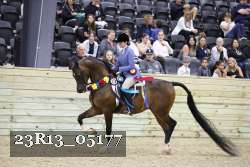 23R13_05177 thumbnail