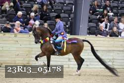 23R13_05178 thumbnail